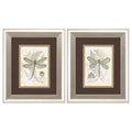 11" X 13" Brushed Silver Frame Dragonfly (Set Of 2)