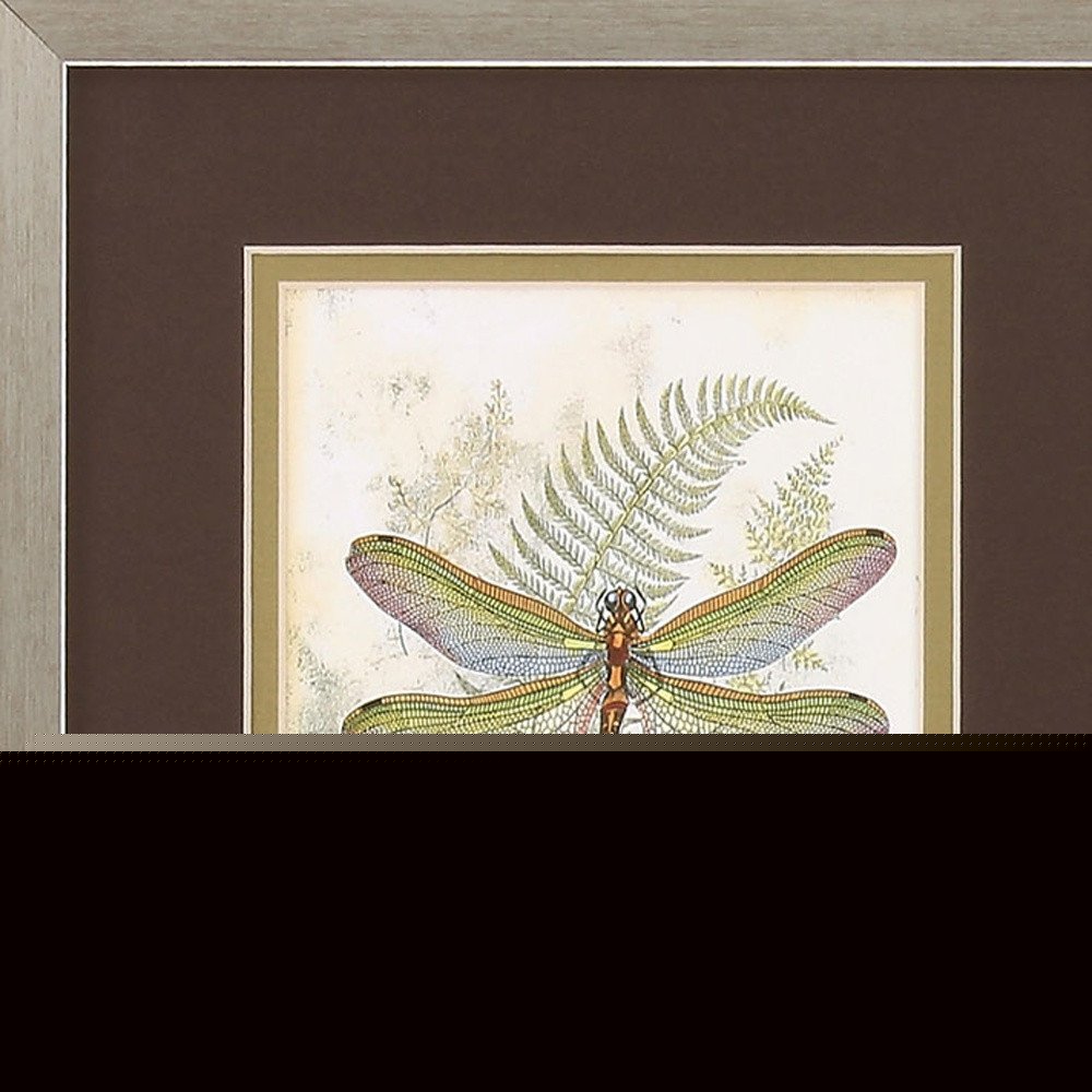 11" X 13" Brushed Silver Frame Dragonfly (Set Of 2)