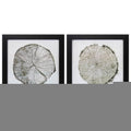 14" X 14" Dark Wood Toned Frame Woodland Years (Set Of 2)