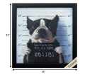 11" X 11" Black Frame Mug Shot