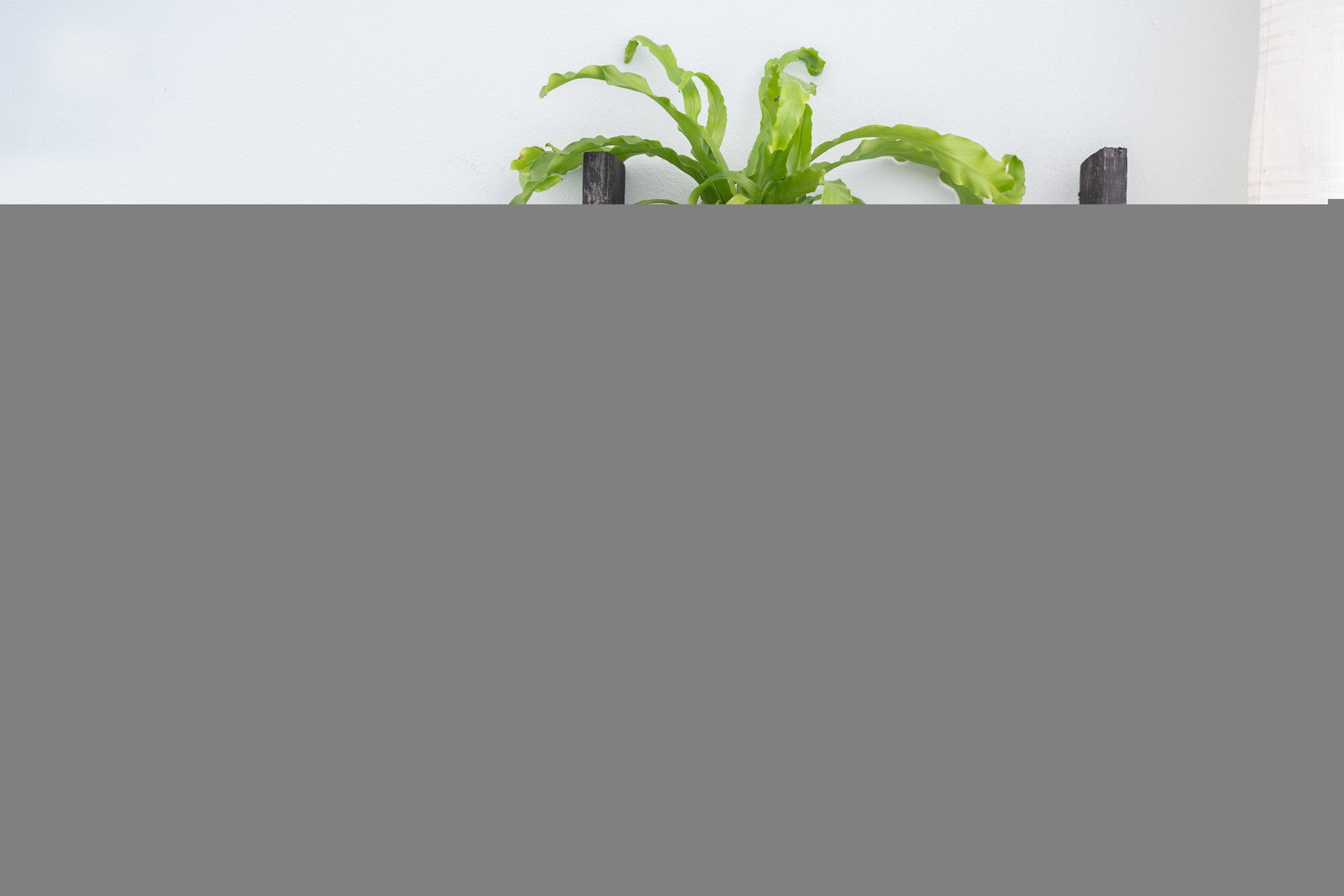 4 Step Rustic Black Wood Ladder Shelf