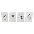 Set of Four White Hummingbird Art