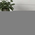 5" Brown And White Solid Wood Tabletop Tealight Candle Holder