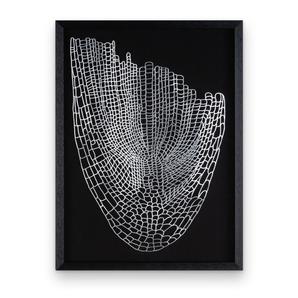 Wild Badlands Black Shadowbox Textual Art Wall Art