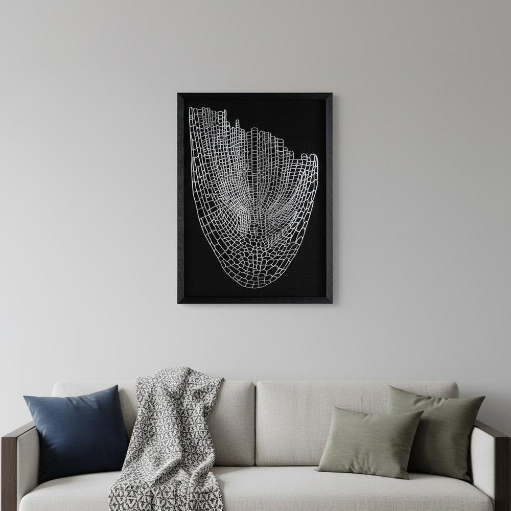 Wild Badlands Black Shadowbox Textual Art Wall Art