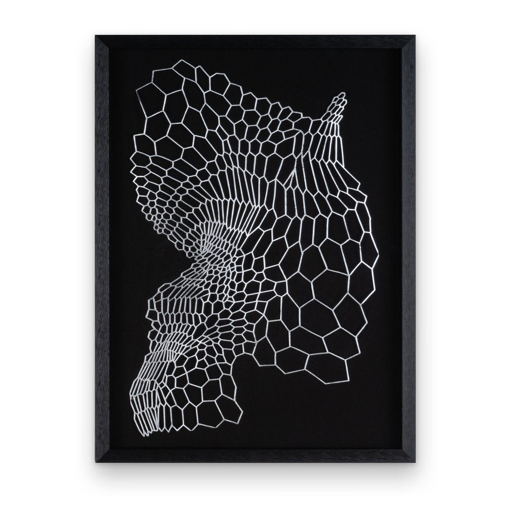 Wild Badlands Black Shadowbox Textual Art Wall Art