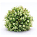 Set of Two 8" Green Artificial