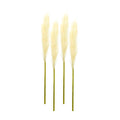 Set of Four 1" Beige Artificial Pampas