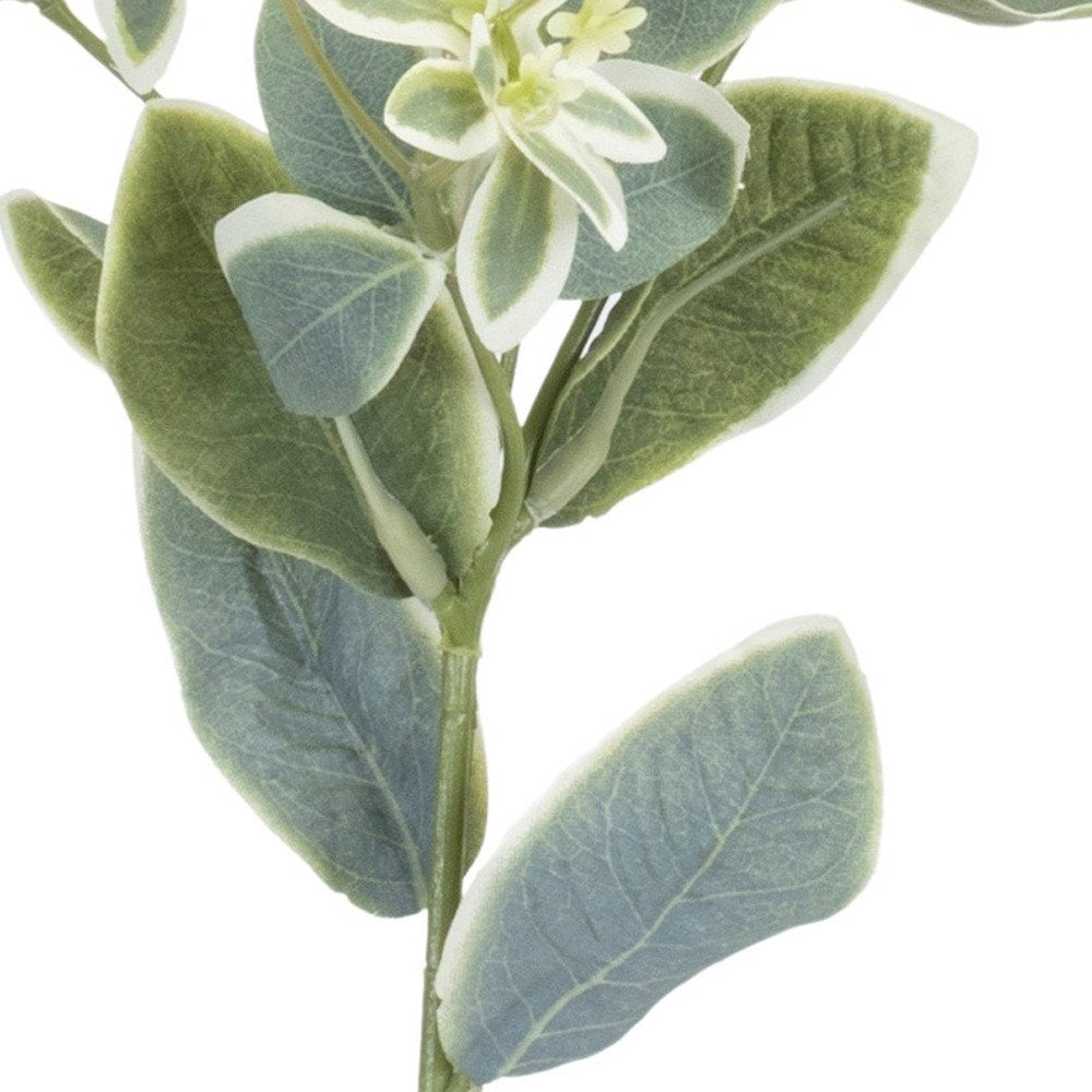 Set of Six 5" Green Artificial