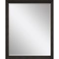 44" Dark Brown Framed Accent Mirror