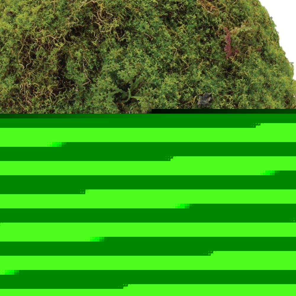 Set of Two 9" Green And Brown Artificial Moss