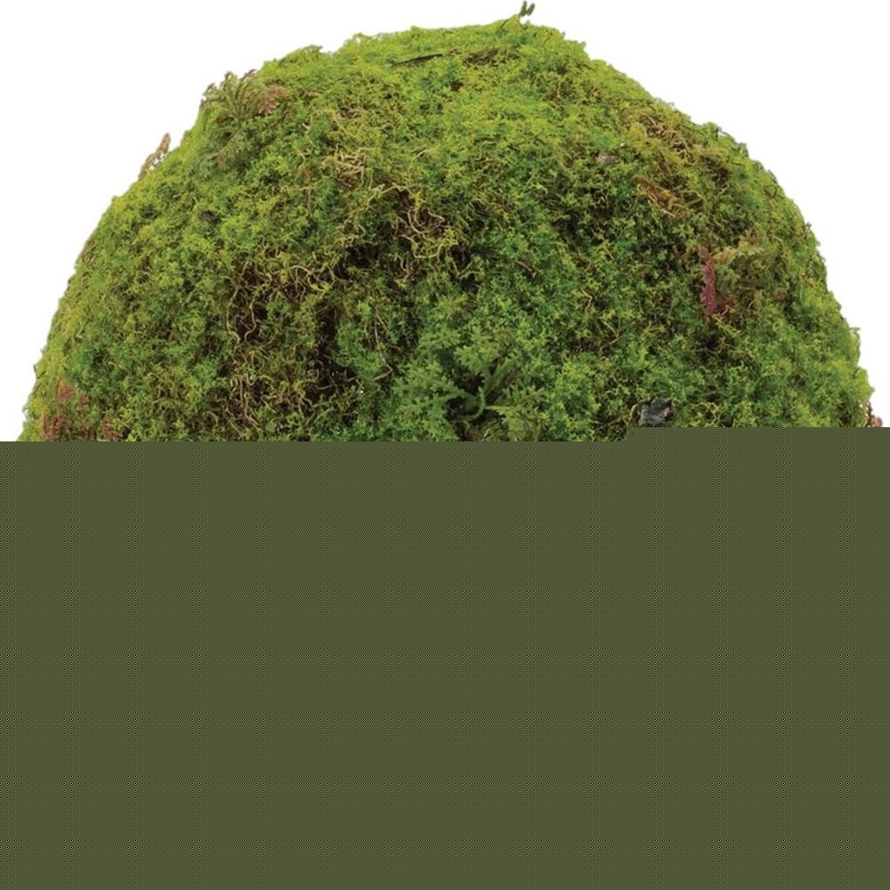 Set of Two 9" Green And Brown Artificial Moss