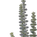 Set of Six 11" Green And Brown Artificial Succulent
