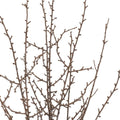 Set of Six 10" Brown And Gray Artificial Birch