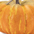 Set of Two Orange And Yellow Plastic Pumpkin Thanksgiving Pumpkin Tabletop Sculpture