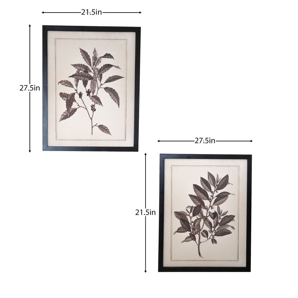 Set of Two Black And White Flower Framed Art
