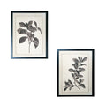 Set of Two Black And White Botanical Leaves Framed Art