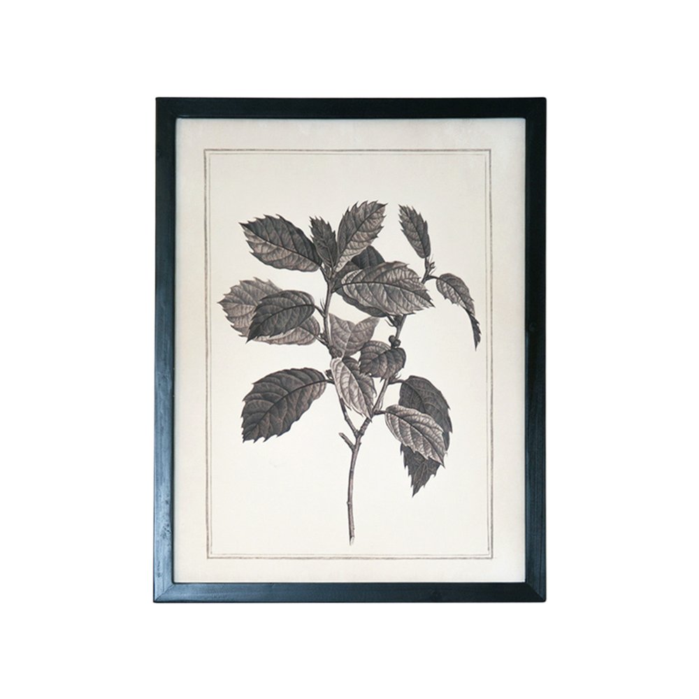 Set of Two Black And White Botanical Leaves Framed Art