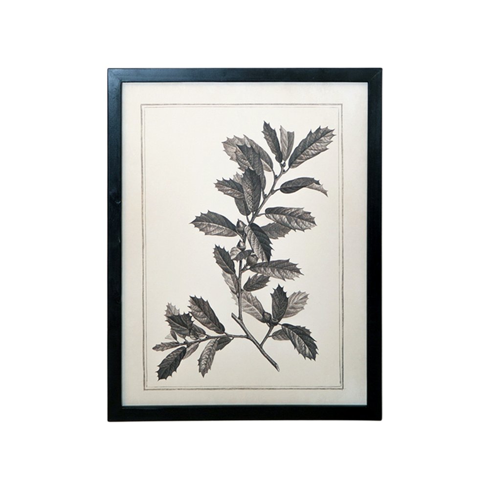 Set of Two Black And White Botanical Leaves Framed Art