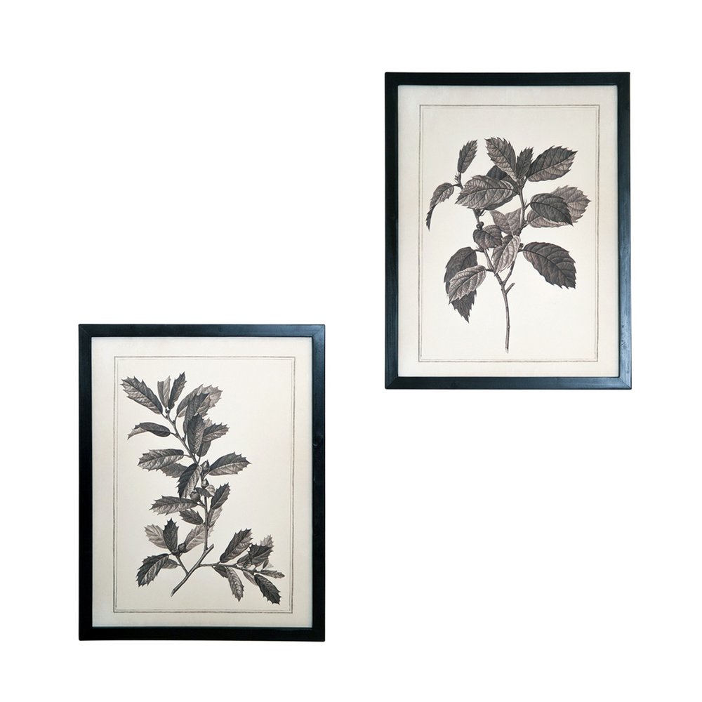 Set of Two Black And White Botanical Leaves Framed Art