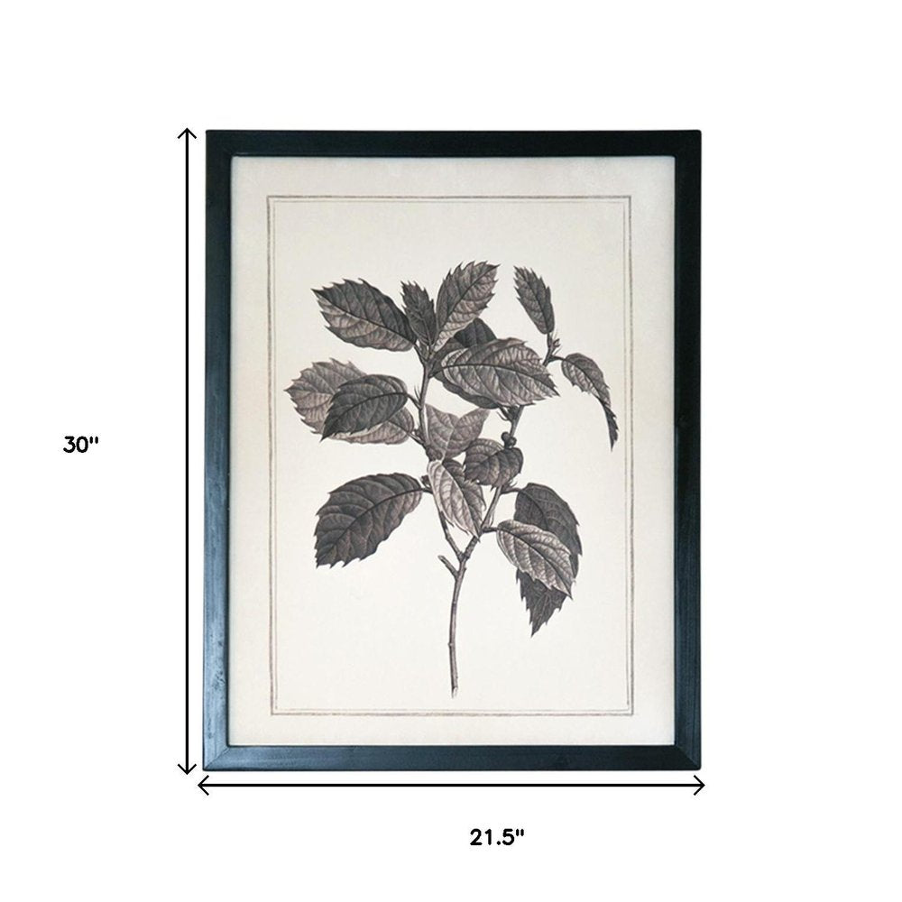 Set of Two Black And White Botanical Leaves Framed Art