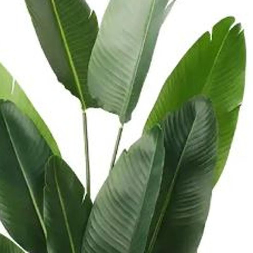 63" Green Artificial Banana Leaf Tree In Cylindrical Black Cement Pot