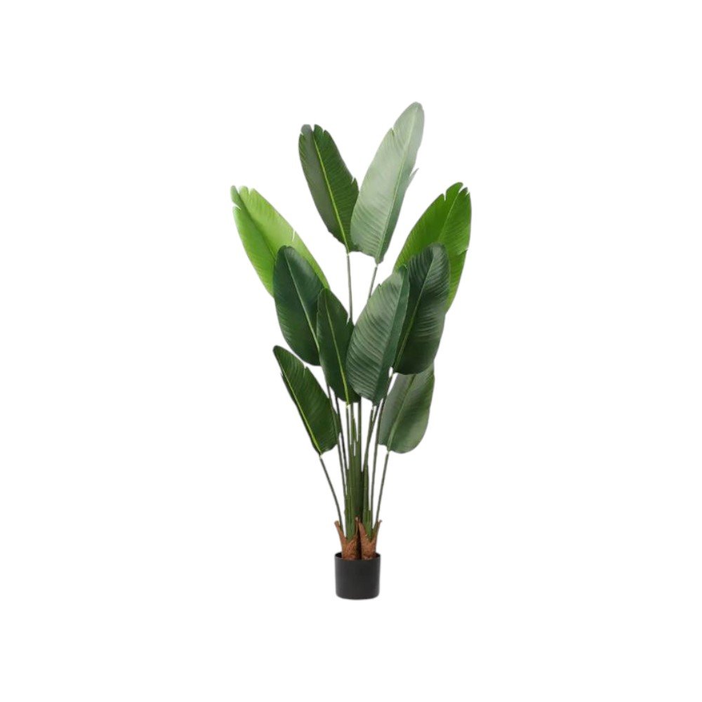 63" Green Artificial Banana Leaf Tree In Cylindrical Black Cement Pot