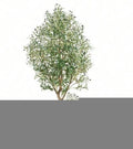 87" Green Artificial Olive Tree In Cylindrical Black Cement Pot
