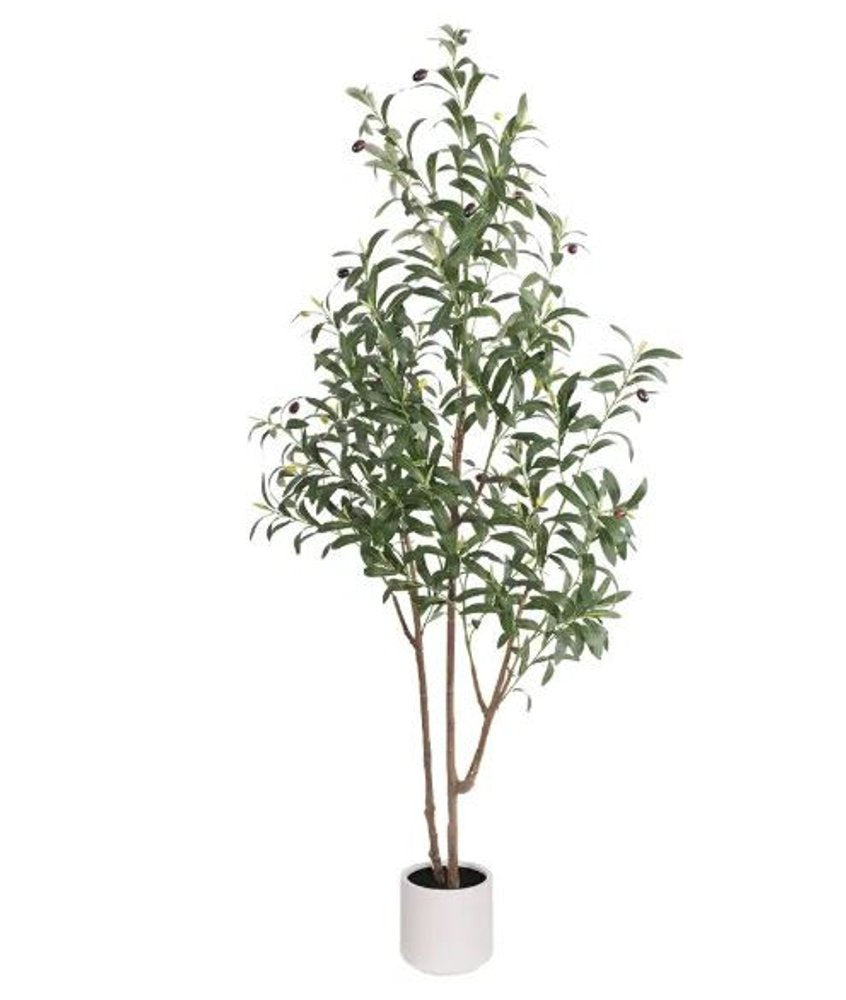 63" Green Artificial Olive Tree In Cylindrical White Cement Pot