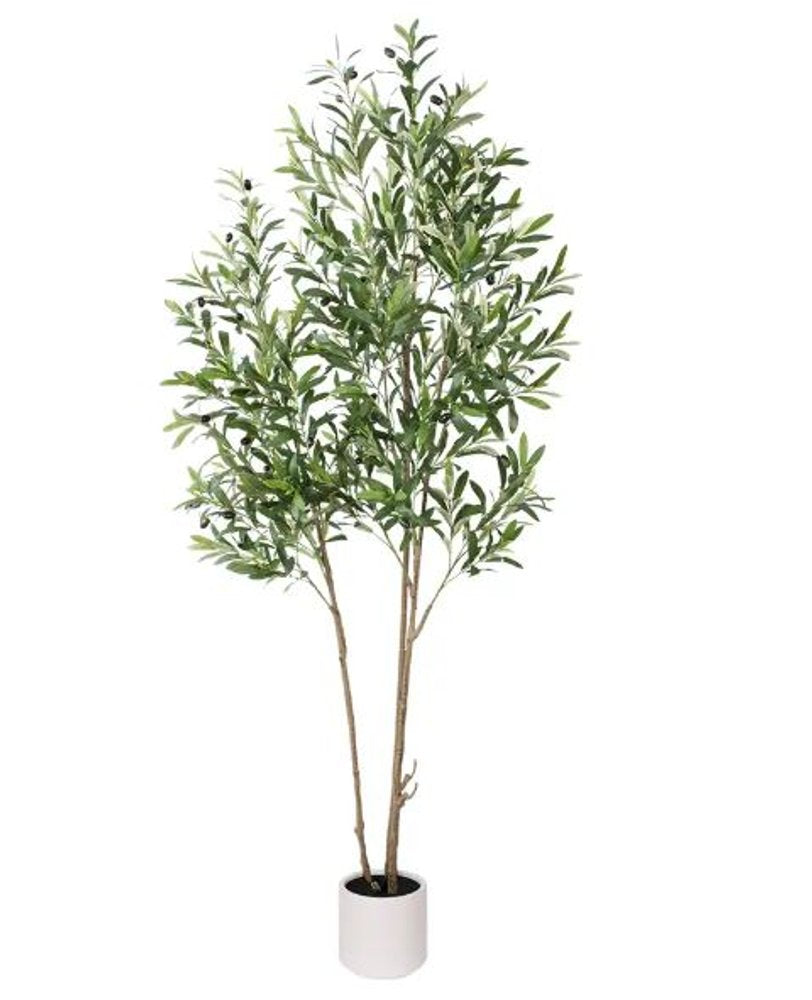 71" Green Artificial Olive Tree In Cylindrical White Cement Pot