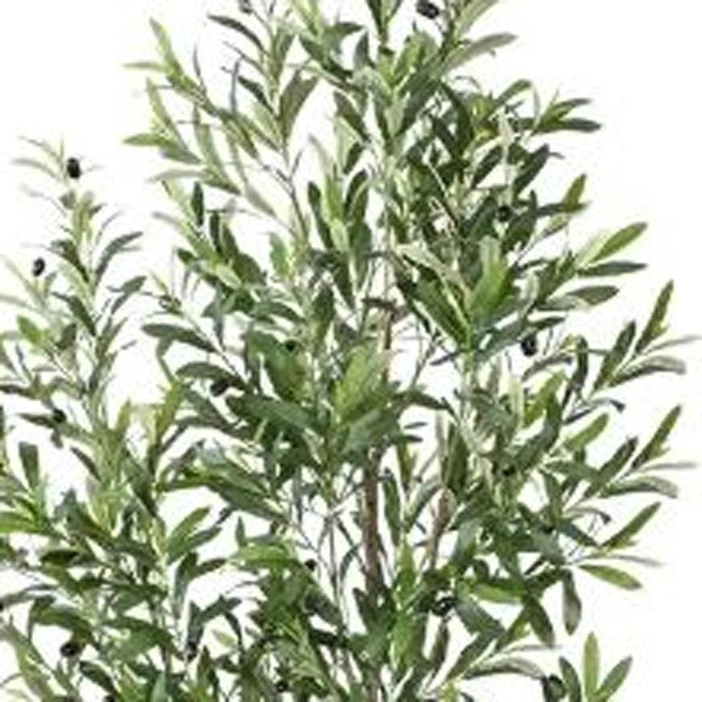 71" Green Artificial Olive Tree In Cylindrical White Cement Pot