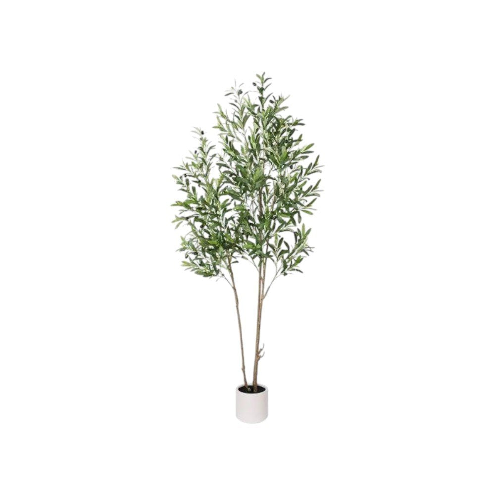 71" Green Artificial Olive Tree In Cylindrical White Cement Pot