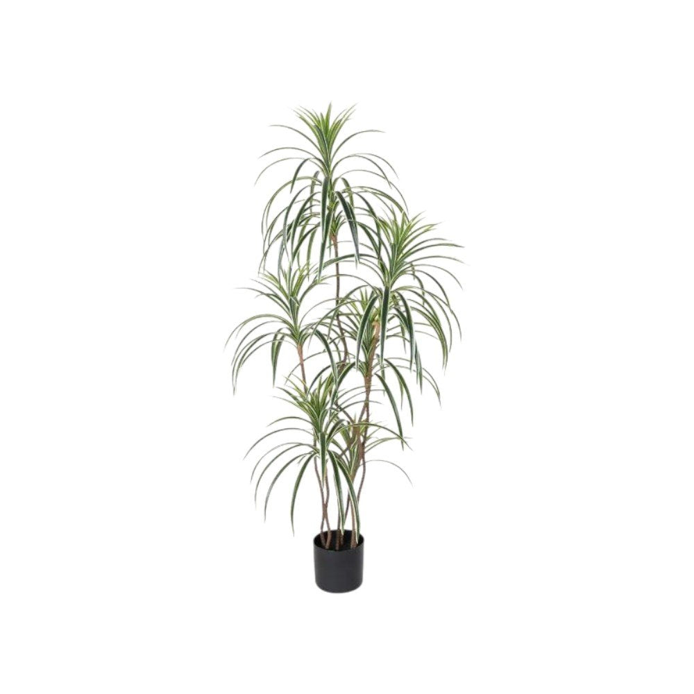 63" Green Artificial Dracaena Tree In Cylindrical Black Cement Pot