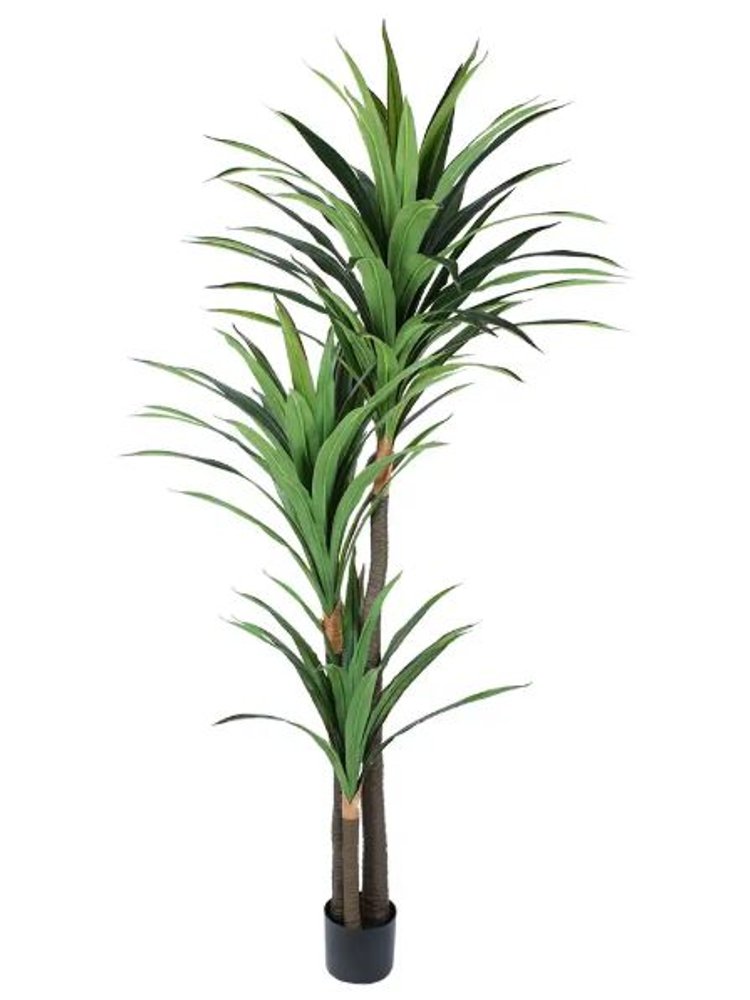7" Green Artificial Yucca In Cylindrical Black Cement Pot