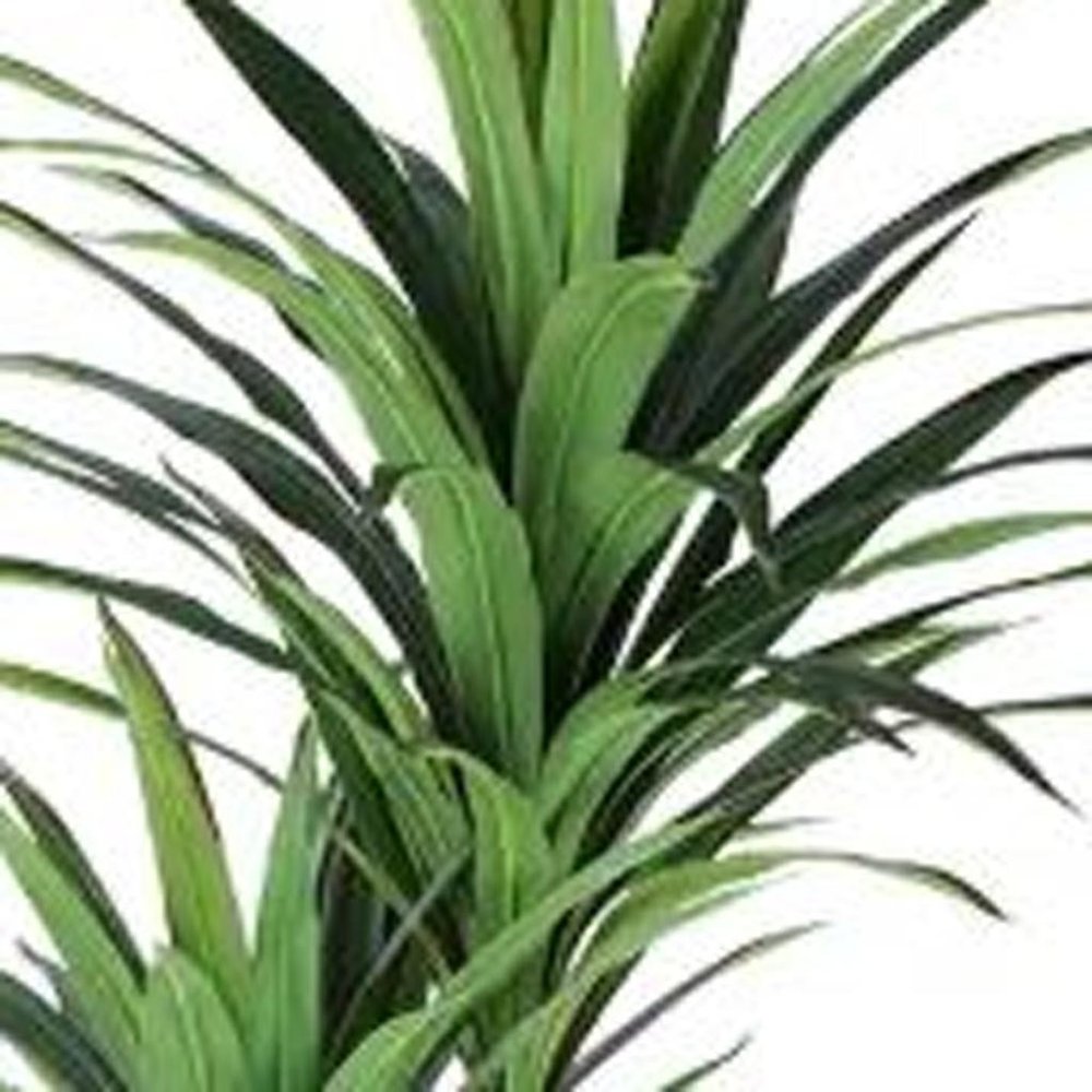 7" Green Artificial Yucca In Cylindrical Black Cement Pot