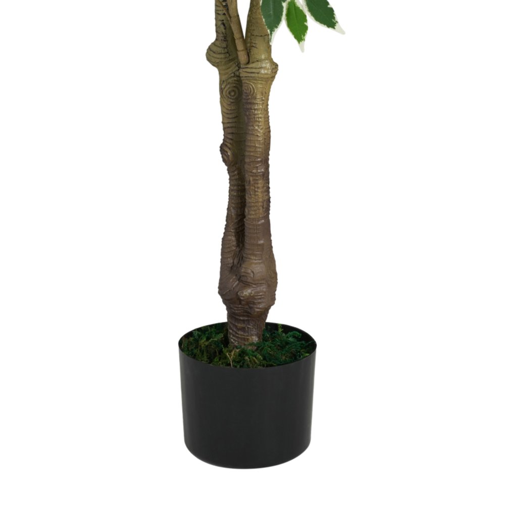 69" Green Artificial Ficus Tree In Cylindrical Black Pot
