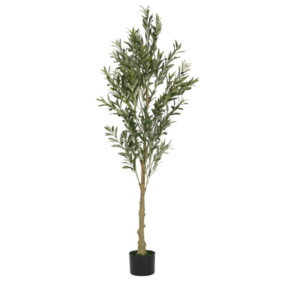 71" Green Artificial Olive Tree In Cylindrical Black Pot