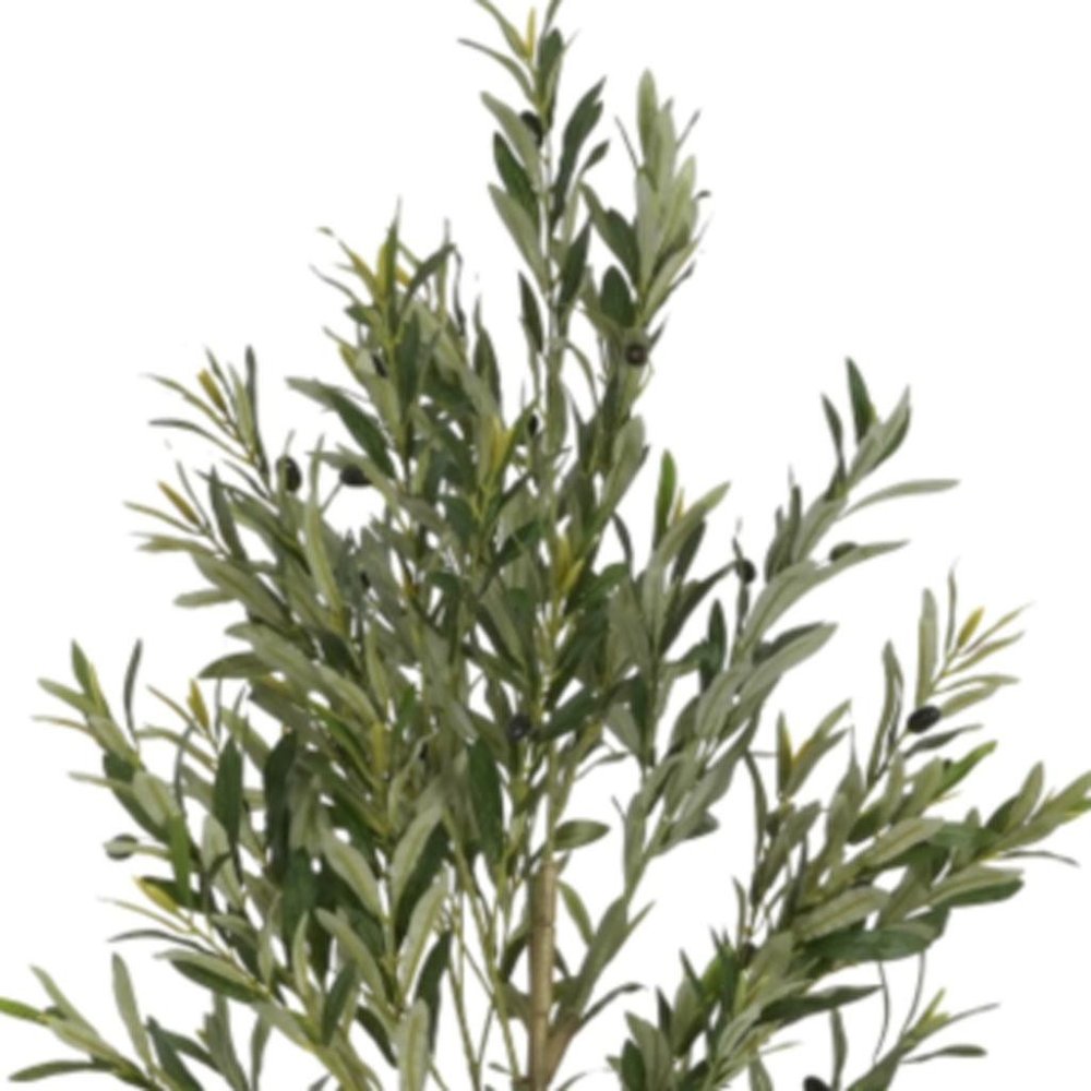 71" Green Artificial Olive Tree In Cylindrical Black Pot