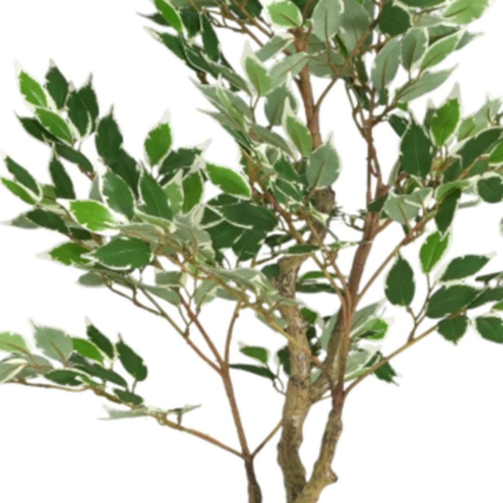 51" Green Artificial Ficus Tree In Cylindrical Black Pot