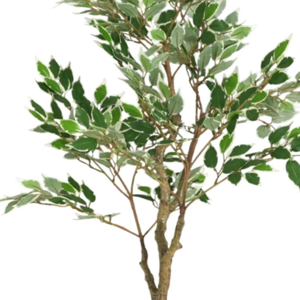 51" Green Artificial Ficus Tree In Cylindrical Black Pot