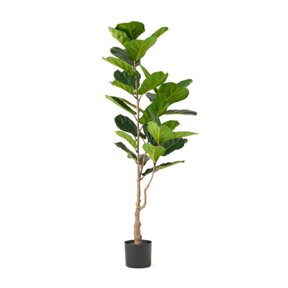 59" Green Artificial Fiddle Leaf Tree In Cylindrical Black Pot