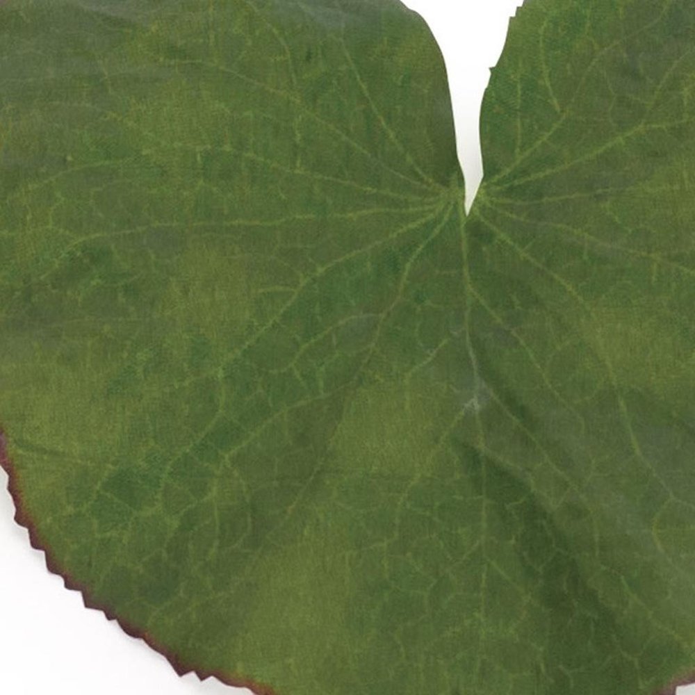 12 9" Green Artificial