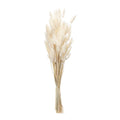 Set of Two 33" Beige Artificial