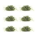 Set of Six 6" Green Artificial Boxwood Tree