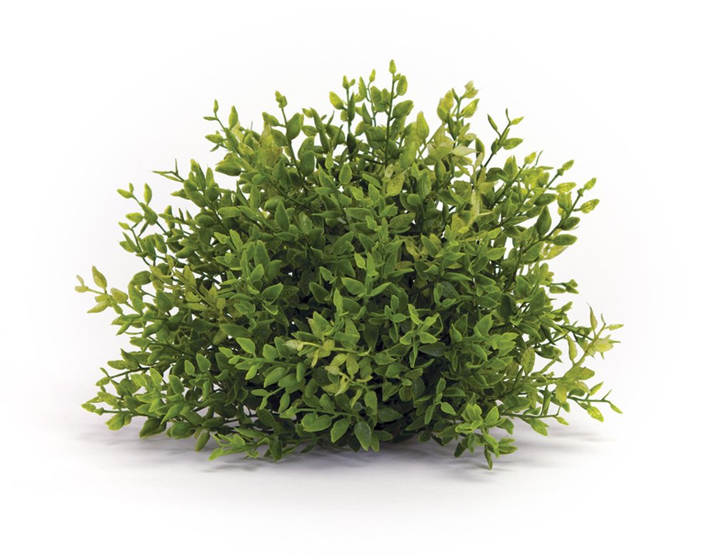 Set of Six 8" Green Artificial