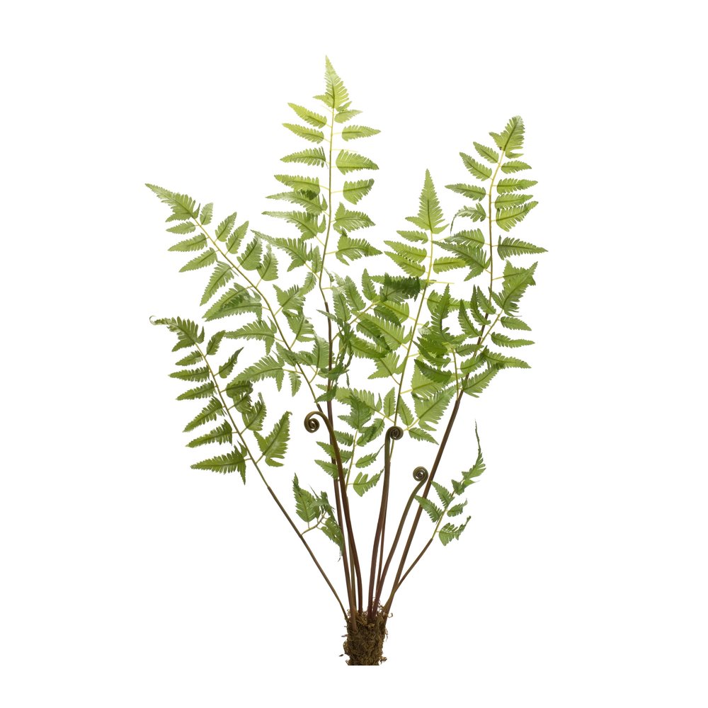 Set of Six 37" Green Artificial Fern Tree