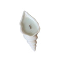 6" Light Blue Unscented Soy Wax Candle In White Resin Novelty Holder